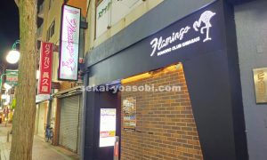 川崎ネオフラミンゴ