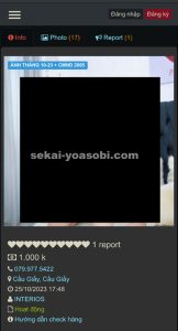 ガイゴイの使い方9