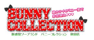 バニーコレクション秋田